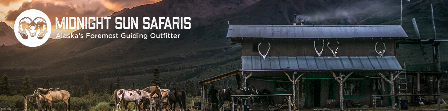 Midnight Sun Safaris