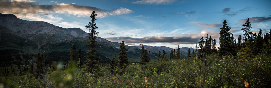 Scene of Alaskan Mountain