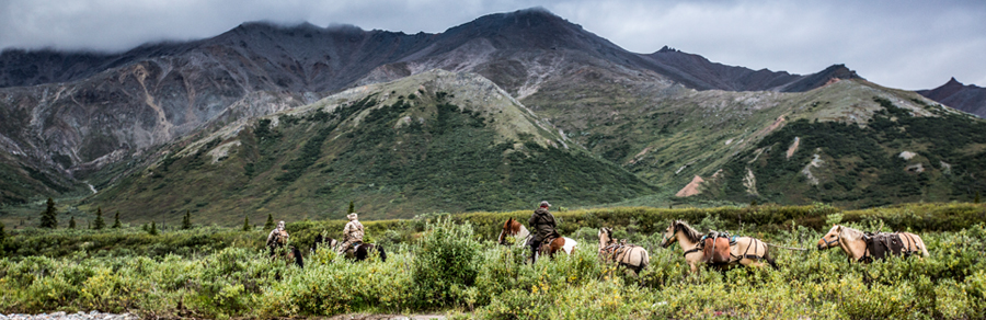 Scene of Alaskan Mountain
